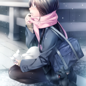 保险套女销售李淑芬小说
